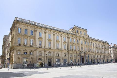 View of the Museum of Fine Arts of Lyon